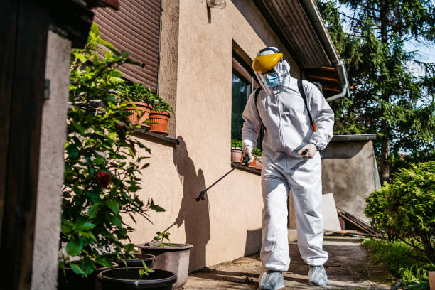 Best Local Pest Control Services  in Tioga, ND