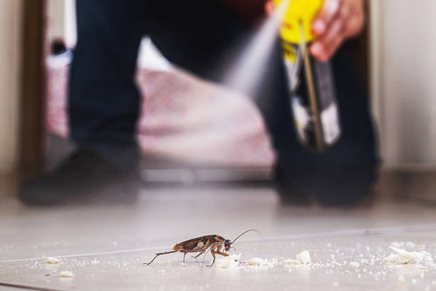 Best Emergency Pest Control  in Tioga, ND