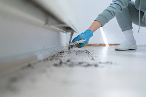 Best Commercial Pest Control Services  in Tioga, ND